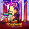 Dj Wala Bhai Volume Kara High (From "Rani Dilbarjaani") - Single