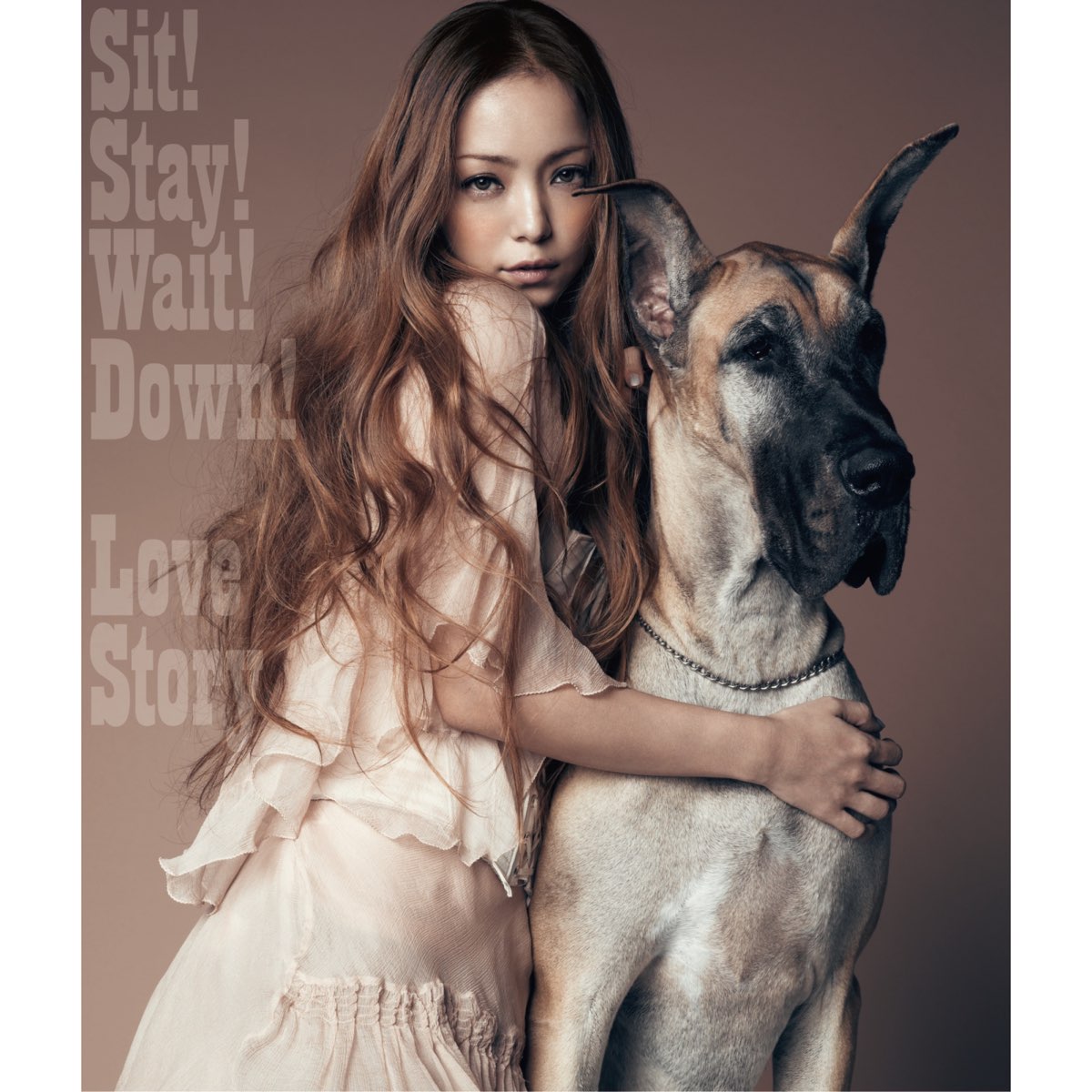 安室奈美恵在apple Music 上的 Sit Stay Wait Down Love Story