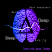 Delta (Deep Sleep)