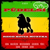 Rege Kocia Muzyka - Best of Pudelsi artwork