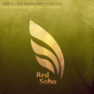 Lost Soul (Andy Elliass Mix) by Andy Elliass & Mino Safy song reviws