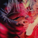 Into the Black - Chromatics