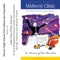 Mr. Flamingo - Sallie Vines White & Hoover High School First Edition Jazz Ensemble lyrics