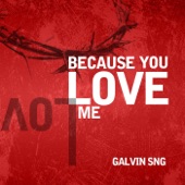 Because You Love Me artwork