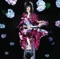 言ノ葉 - Single ジャケット写真