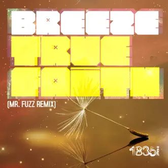 True Faith (Mr. Fuzz Remix) by Breeze song reviws