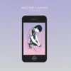 Vector Lovers - Big City Loner