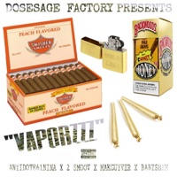 Vaporzzz - Single - Makguyver, 2 Smoov, Baby Sham & Antidote 61 Nina