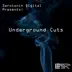 Serotonin Digital Presents: Underground Cuts album cover