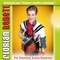 Da Summa kann kumma - Florian Ranstl lyrics