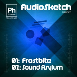 Sound Asylum AudioSketch