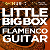 Little Big Box: Flamenco