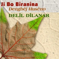 Delîl Dîlanar - Derweşe Evdi