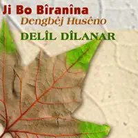 Derweşe Evdi — Delîl Dîlanar