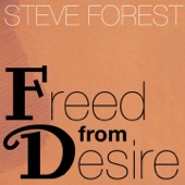 Freed from Desire (Paul Simon Mix) artwork