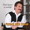 Omul frumos cu mustata
