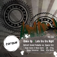 Wake Up - Detroit Grand Pubahs & Space DJz