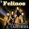 Ando Que Me Lleva - Felinos lyrics