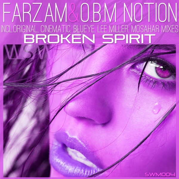 Broken Spirit