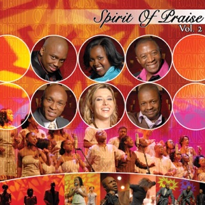 Spirit of Praise, Vol. 2