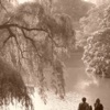 Duvid - Poem Without Words