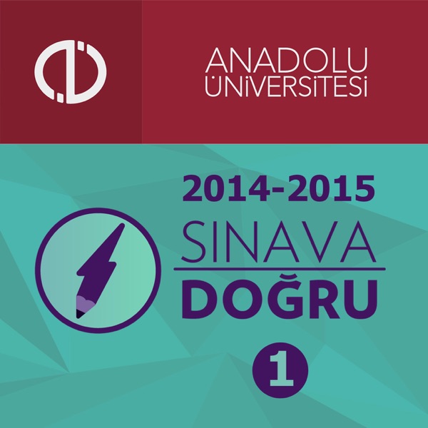 Sınava Doğru (2014 - 2015) cover