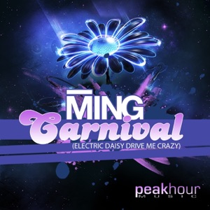 Carnival (Electric Daisy Drive Me Crazy) - Single