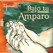 Bajo tu amparo, Vol. IX artwork