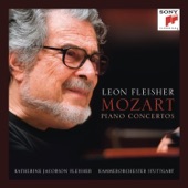Piano Concerto No. 23 in A Major, K. 488: II. Adagio artwork