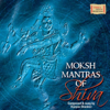 Moksh Mantras of Shiva - Vijayaa Shanker