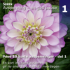 Peos 10 korte avspenninger - del 1 (Avspenning - en god pause - album 1 av 10) - Peo