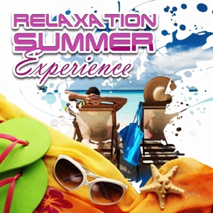 Relaxation Summer Experience – Chillout Music Collection, Summer Time in Ibiza, Electronic Music, Chillout Lounge Session, Absolute Chill Out