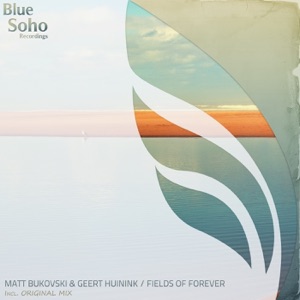 Fields of Forever - Single