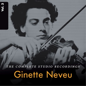 Violin Concerto in D Minor, Op. 77: I. Allegro non troppo