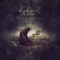 Angel That Conducted — Ephemeral Ocean