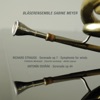 Bläserensemble Sabine Meyer - Serenade in D Minor, Op. 44: I. Moderato, quasi marcia