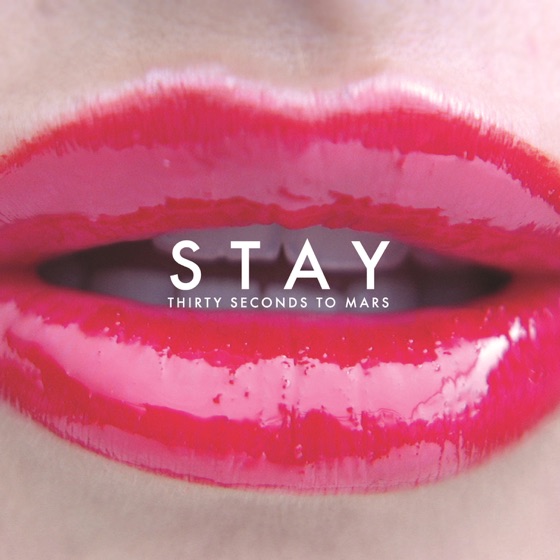 Cover artwork for Stay