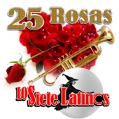 25 Rosas