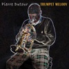 Trumpet Melody - Single, 2014