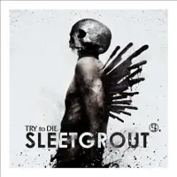 This Light — Sleetgrout
