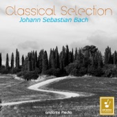 Musici di San Marco - Violin Concerto No. 1 in A Minor, BWV 1041: I. —