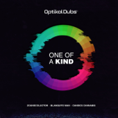 One of a Kind (Drum and Bass Mix) [feat. Blanquito Man] - ZoundColector Cover Art