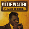 Sad Hours - Little Walter