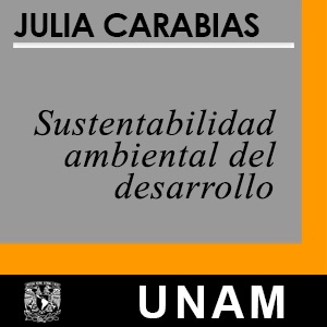 Sustentabilidad ambiental del desarrollo cover