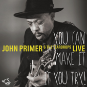 You Can Make It If You Try - John Primer