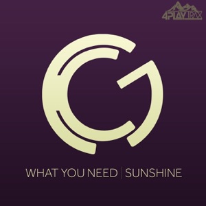 What You Need - Sunshine - Single