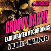 Cover art for Groovy Baby!! - Miami 2013 by Various Artists