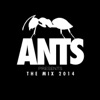 ANTS Presents the Mix 2014, 2014