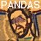 Wonderstorm - Pandas lyrics