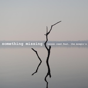 Something Missing (feat. The Mowgli's) - Single